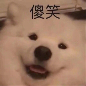 壹壹Corgine