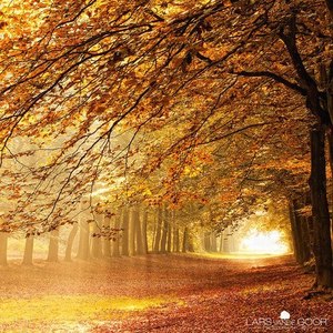 成吉吉资料,成吉吉最新歌曲,成吉吉MV视频,成吉吉音乐专辑,成吉吉好听的歌