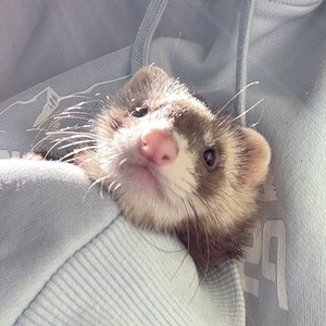 轩临资料,轩临最新歌曲,轩临MV视频,轩临音乐专辑,轩临好听的歌