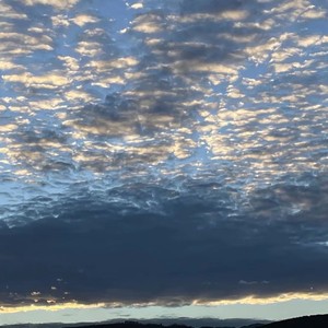张明白资料,张明白最新歌曲,张明白MV视频,张明白音乐专辑,张明白好听的歌