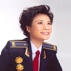 缀满红星的战鹰