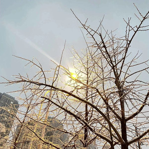 七七资料,七七最新歌曲,七七MV视频,七七音乐专辑,七七好听的歌