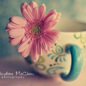 会婷资料,会婷最新歌曲,会婷MV视频,会婷音乐专辑,会婷好听的歌