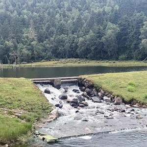 胖猫资料,胖猫最新歌曲,胖猫MV视频,胖猫音乐专辑,胖猫好听的歌