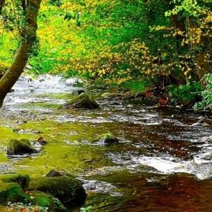 张优培资料,张优培最新歌曲,张优培MV视频,张优培音乐专辑,张优培好听的歌