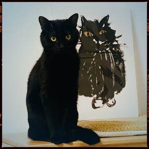 EveZhang资料,EveZhang最新歌曲,EveZhangMV视频,EveZhang音乐专辑,EveZhang好听的歌