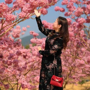 赵心星资料,赵心星最新歌曲,赵心星MV视频,赵心星音乐专辑,赵心星好听的歌