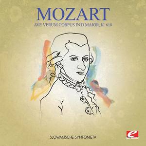 Slowakische Symfonieta资料,Slowakische Symfonieta最新歌曲,Slowakische SymfonietaMV视频,Slowakische Symfonieta音乐专辑,Slowakische Symfonieta好听的歌