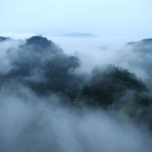 草原脉动资料,草原脉动最新歌曲,草原脉动MV视频,草原脉动音乐专辑,草原脉动好听的歌