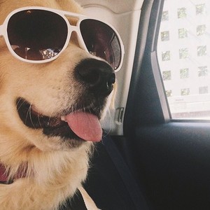 Luren资料,Luren最新歌曲,LurenMV视频,Luren音乐专辑,Luren好听的歌