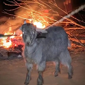 隋歌资料,隋歌最新歌曲,隋歌MV视频,隋歌音乐专辑,隋歌好听的歌