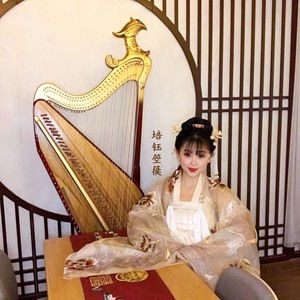 培钰箜篌 - 箜篌弹奏《笑看风云》