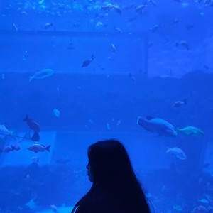 170度的快乐资料,170度的快乐最新歌曲,170度的快乐MV视频,170度的快乐音乐专辑,170度的快乐好听的歌