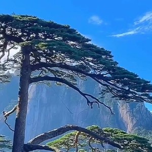 马金帅资料,马金帅最新歌曲,马金帅MV视频,马金帅音乐专辑,马金帅好听的歌