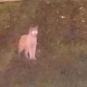 AXX资料,AXX最新歌曲,AXXMV视频,AXX音乐专辑,AXX好听的歌