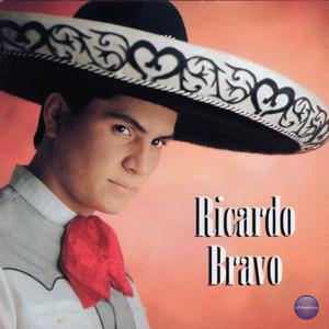 Ricardo Bravo
