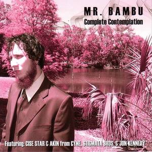 Mr. Bambu