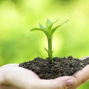 何何未资料,何何未最新歌曲,何何未MV视频,何何未音乐专辑,何何未好听的歌