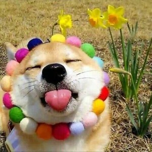 wille4Thebeat资料,wille4Thebeat最新歌曲,wille4ThebeatMV视频,wille4Thebeat音乐专辑,wille4Thebeat好听的歌