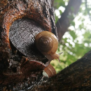 杨半仙资料,杨半仙最新歌曲,杨半仙MV视频,杨半仙音乐专辑,杨半仙好听的歌