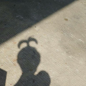 繁资料,繁最新歌曲,繁MV视频,繁音乐专辑,繁好听的歌