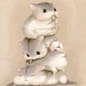 (周峻纬个人向)经纬渡