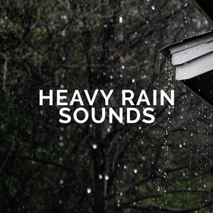 Heavy Rain Sounds