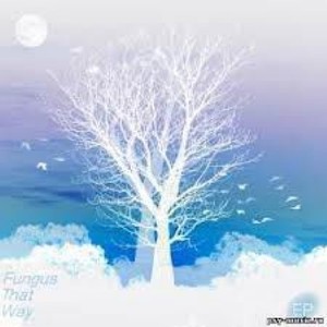 Fungus资料,Fungus最新歌曲,FungusMV视频,Fungus音乐专辑,Fungus好听的歌