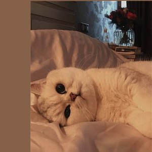 磊叔有点萌资料,磊叔有点萌最新歌曲,磊叔有点萌MV视频,磊叔有点萌音乐专辑,磊叔有点萌好听的歌