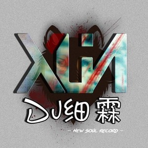 DJ细霖资料,DJ细霖最新歌曲,DJ细霖MV视频,DJ细霖音乐专辑,DJ细霖好听的歌