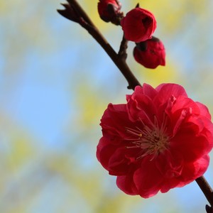 真实面对自己的无能，懦弱，无知，可笑之处 | 开店笔记