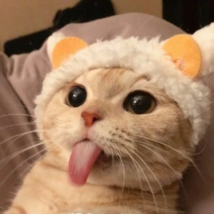 Native.贝资料,Native.贝最新歌曲,Native.贝MV视频,Native.贝音乐专辑,Native.贝好听的歌