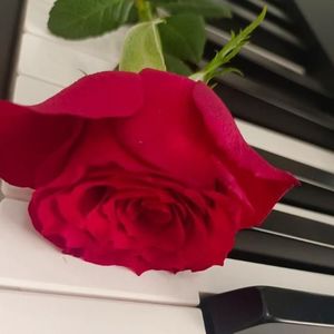 王也吖资料,王也吖最新歌曲,王也吖MV视频,王也吖音乐专辑,王也吖好听的歌