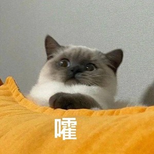 昀次资料,昀次最新歌曲,昀次MV视频,昀次音乐专辑,昀次好听的歌