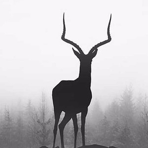 二月先生资料,二月先生最新歌曲,二月先生MV视频,二月先生音乐专辑,二月先生好听的歌