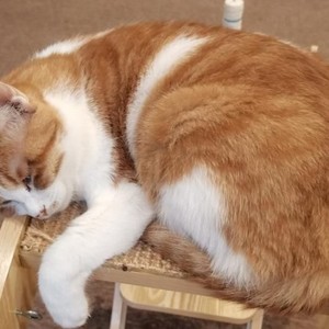 云中雁字资料,云中雁字最新歌曲,云中雁字MV视频,云中雁字音乐专辑,云中雁字好听的歌