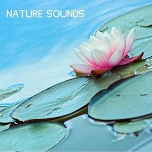 Nature Sounds Nature Music