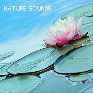 Nature Sounds Nature Music资料,Nature Sounds Nature Music最新歌曲,Nature Sounds Nature MusicMV视频,Nature Sounds Nature Music音乐专辑,Nature Sounds Nature Music好听的歌