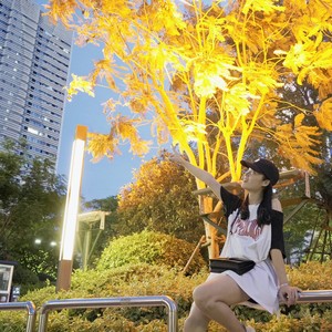 艾宝 - 成都 (Live)