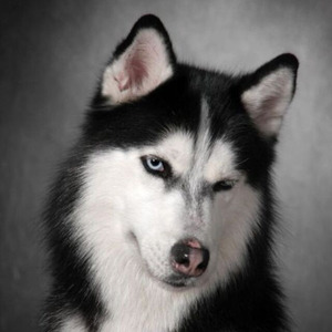 欧松资料,欧松最新歌曲,欧松MV视频,欧松音乐专辑,欧松好听的歌