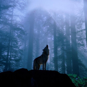 初恋的姑娘 (K歌版)