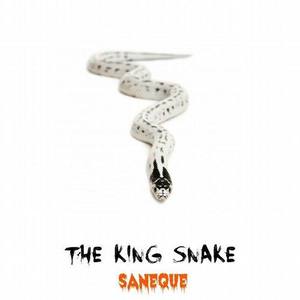 Saneque资料,Saneque最新歌曲,SanequeMV视频,Saneque音乐专辑,Saneque好听的歌