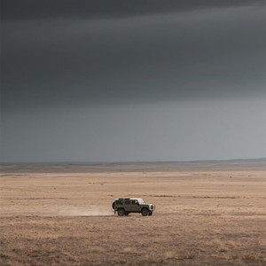 马踏樱花-沉在水底的鱼