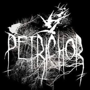 Petrichor资料,Petrichor最新歌曲,PetrichorMV视频,Petrichor音乐专辑,Petrichor好听的歌