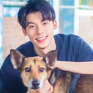 杨先生的树袋熊资料,杨先生的树袋熊最新歌曲,杨先生的树袋熊MV视频,杨先生的树袋熊音乐专辑,杨先生的树袋熊好听的歌