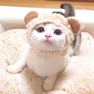 喵小姐资料,喵小姐最新歌曲,喵小姐MV视频,喵小姐音乐专辑,喵小姐好听的歌