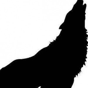 狼君资料,狼君最新歌曲,狼君MV视频,狼君音乐专辑,狼君好听的歌