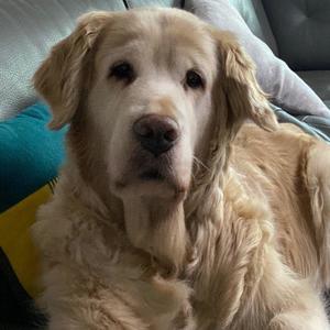 HEYDEN资料,HEYDEN最新歌曲,HEYDENMV视频,HEYDEN音乐专辑,HEYDEN好听的歌