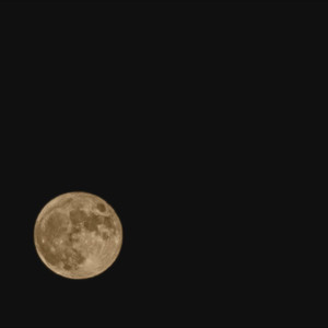 李二百资料,李二百最新歌曲,李二百MV视频,李二百音乐专辑,李二百好听的歌