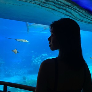 大潼资料,大潼最新歌曲,大潼MV视频,大潼音乐专辑,大潼好听的歌